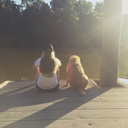 brilliant-beautiful-brave avatar