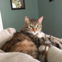 brilliantbecca94 avatar