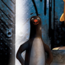 brilliantpenguin avatar