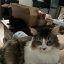 brimstonestoryghost106 avatar