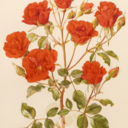 bring-may-flowers avatar