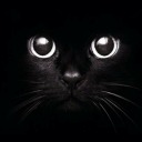 bring-me-to-live avatar