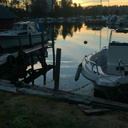 bringbackchuck avatar