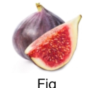 bringbackmyoats avatar