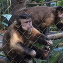 bringmealong-blog avatar