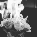 bringmeganthehorizon avatar