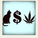 bringtheweedhere avatar