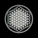 bringusthehorizon avatar