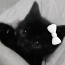 brisanoctvrna avatar