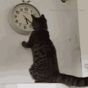 brisas-e-ventos avatar