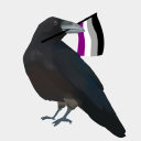 bristolbird avatar