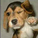 brit-nye-the-science-bi avatar