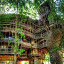 britannianking avatar