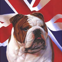 britishbulldogs avatar