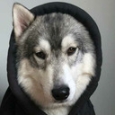 britmittel-blog avatar