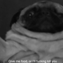 brittany-bitch97 avatar