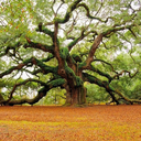 brittany-rush avatar