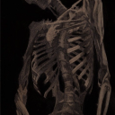 brittlebonesboning avatar