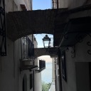 brittlequakeforest avatar