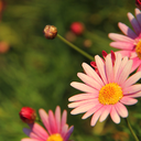 brittwilliamsphotography avatar