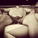 brladude-blog avatar