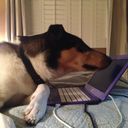 brlexandriaxxiii avatar