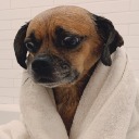 broadcaster-red avatar