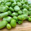 broadestbean-blog avatar