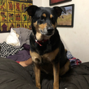 broadstrokesofblack avatar