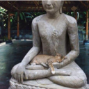 brobdingnagiangardenpetals avatar