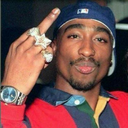 brock-saturation avatar