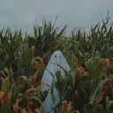 brocken-ballz avatar