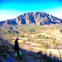 brocksbombers avatar