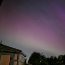 brohemian-rhapsodie avatar