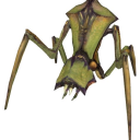 broilleatbugs avatar