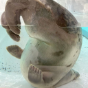 broken---mirror avatar