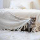 broken-beyblade avatar