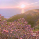 broken-button avatar