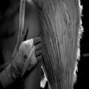 broken-eclipse272 avatar