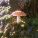 broken-skinny avatar