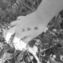 broken-soul-05 avatar