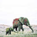 brokenbythesirensound avatar