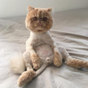 brokencalculator avatar