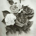 brokencassandra avatar