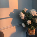 brokencircuitsandcutwires avatar