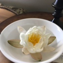 brokencrown116 avatar