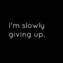 brokenever-again avatar