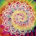 brokenflowerchild67 avatar