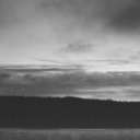 brokenscaredlonely avatar