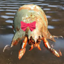 brokenshoreman avatar